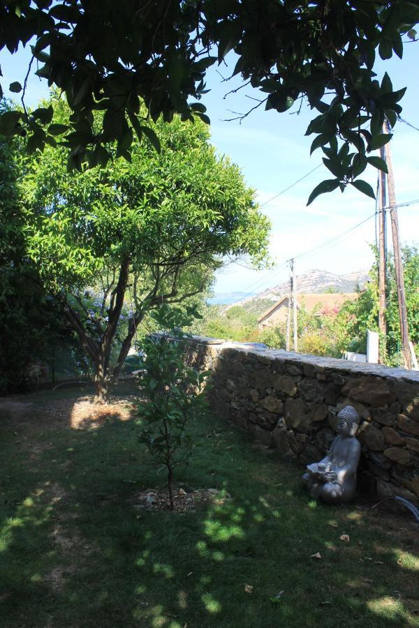 Studio Zen Barbaggio Dış mekan fotoğraf